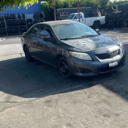 2010 Toyota Corolla