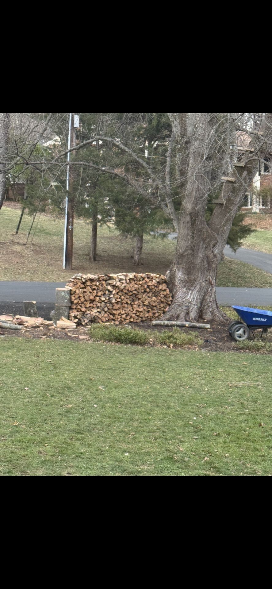 chiminea fire pit wood for sale!