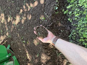 Rich Organic Soil by the truckload
