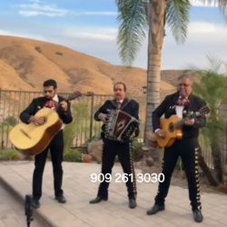 Mariachi Guitars Acoustic