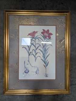 Botanical Floral Framed Print in Gold Wood