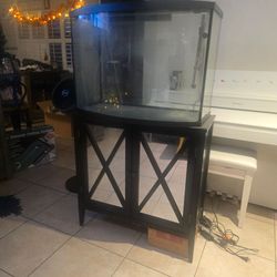 35 gallon Fish tank and stand