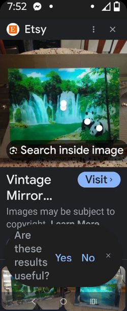 o Shadow Boxed Mirror Waterfall Panda Bear