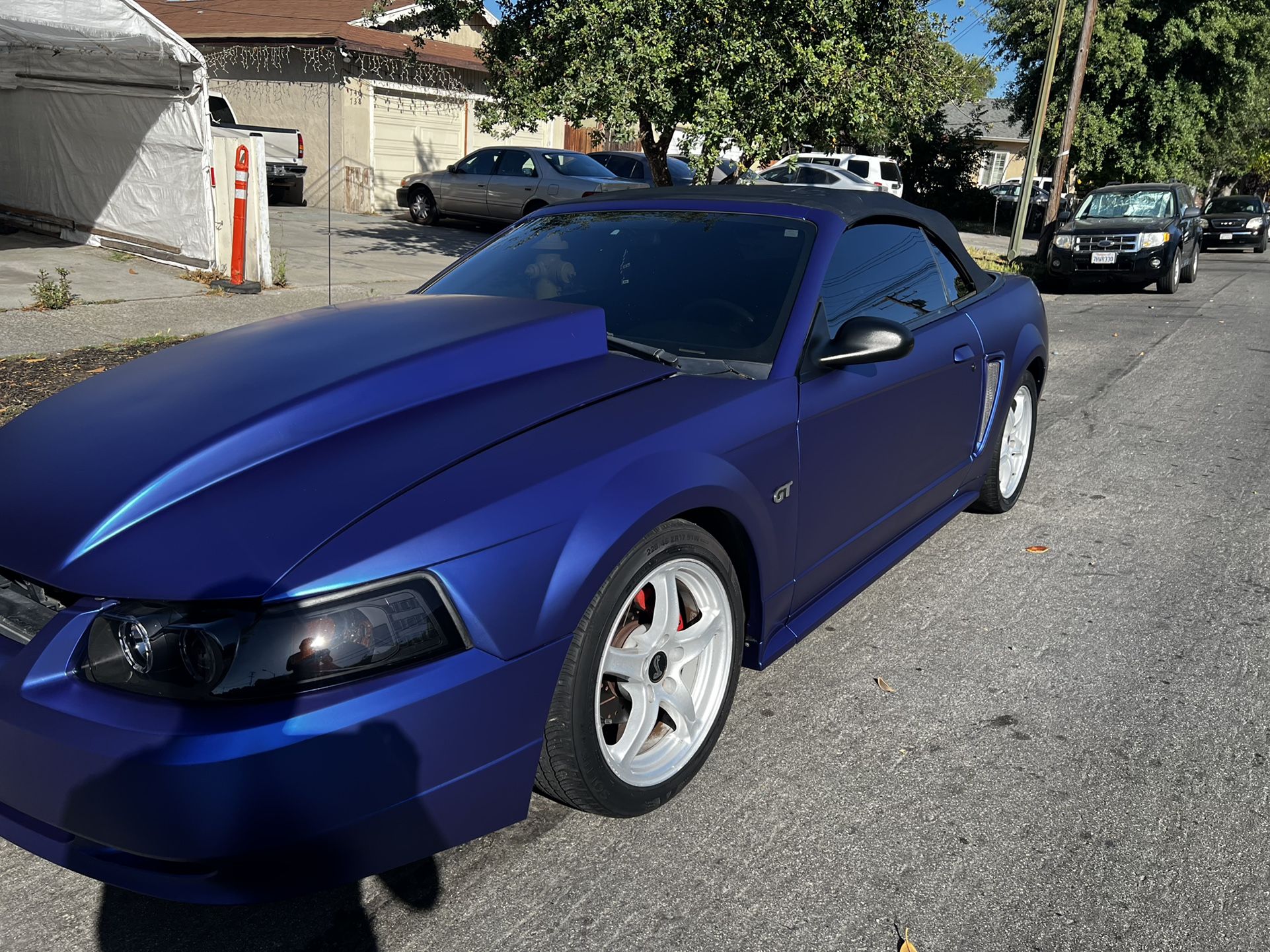 Wrap And Tint
