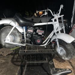 Mini Bike