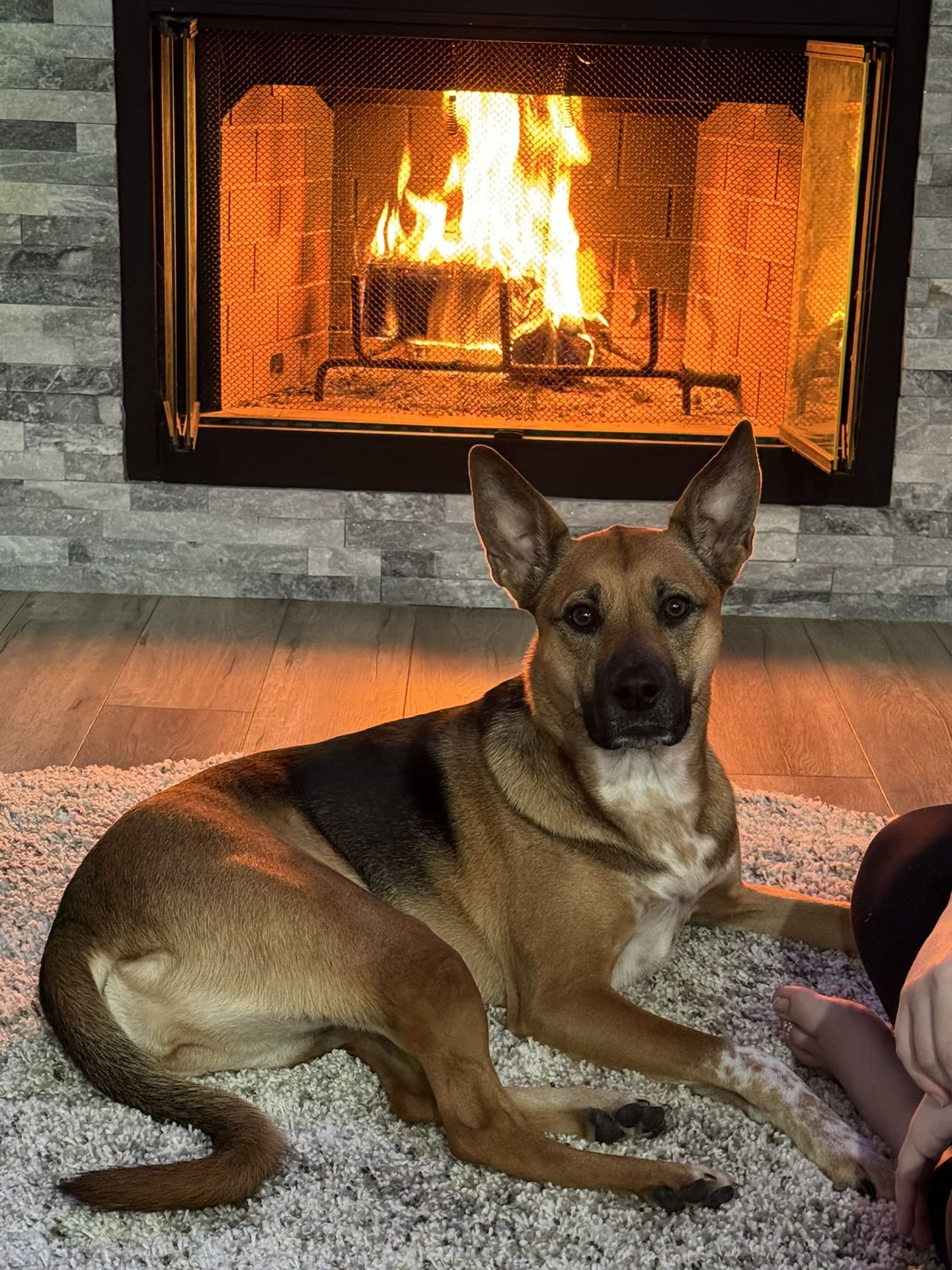 Pull Out Drawers (4)