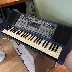 Roland EG101