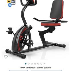 Vanswe Recumbent Exercise Bike