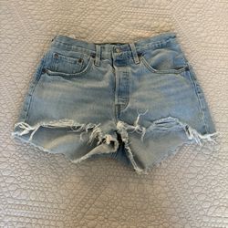 Levi’s 501 Shorts in Luxor Heat