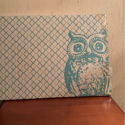 Owl Picture 