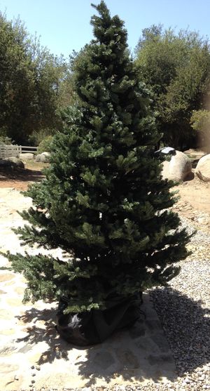 FRONTGATE 9 Christmas Tree For Sale In Murrieta CA FRONTGATE 9 Christmas Tree For Sale In Murrieta CA