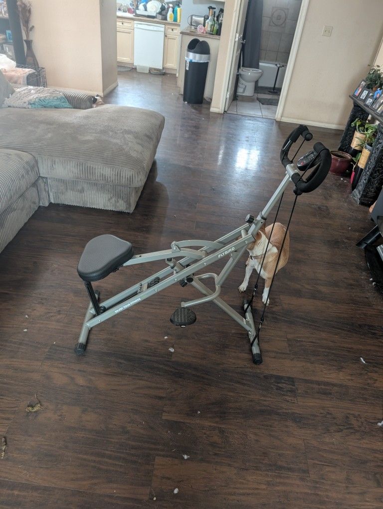 Fly Bird Exercise Machine