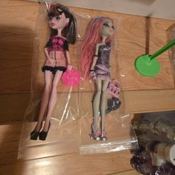 Rochelle and Draculaura Monster High Dolls 