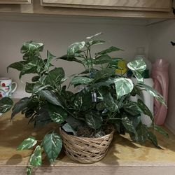 Artificial Plant 