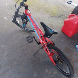 20 " 7 Speed Schwinn Boys Bike has Front shock Everything works