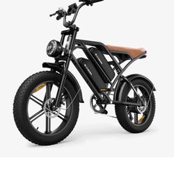 CycHunter Moped-Style Electric Bike DUAL BATTERY!