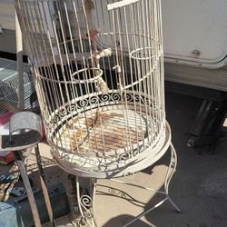 Bird Cages