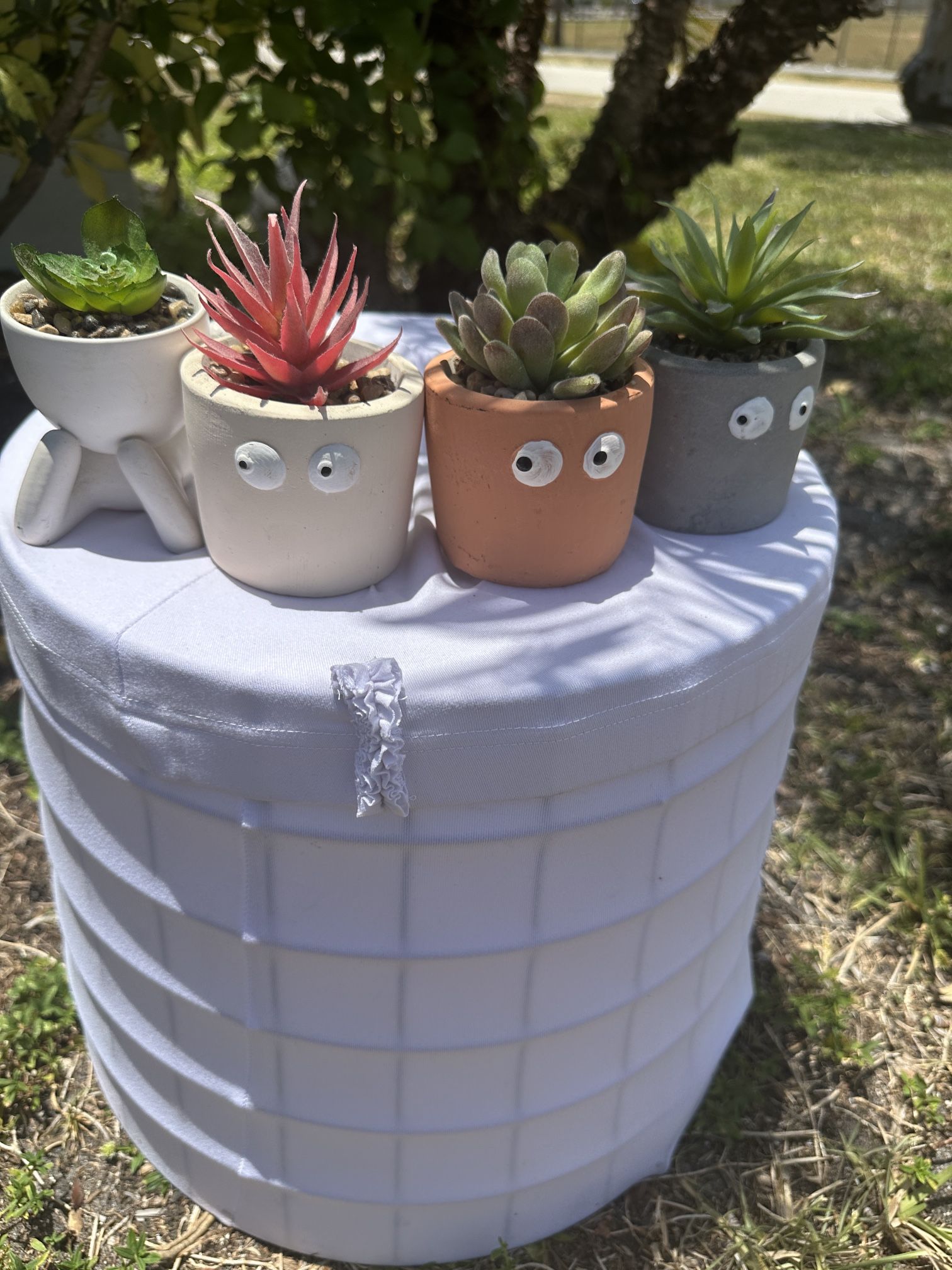 Playful Succulent Planters with Googly Eyes