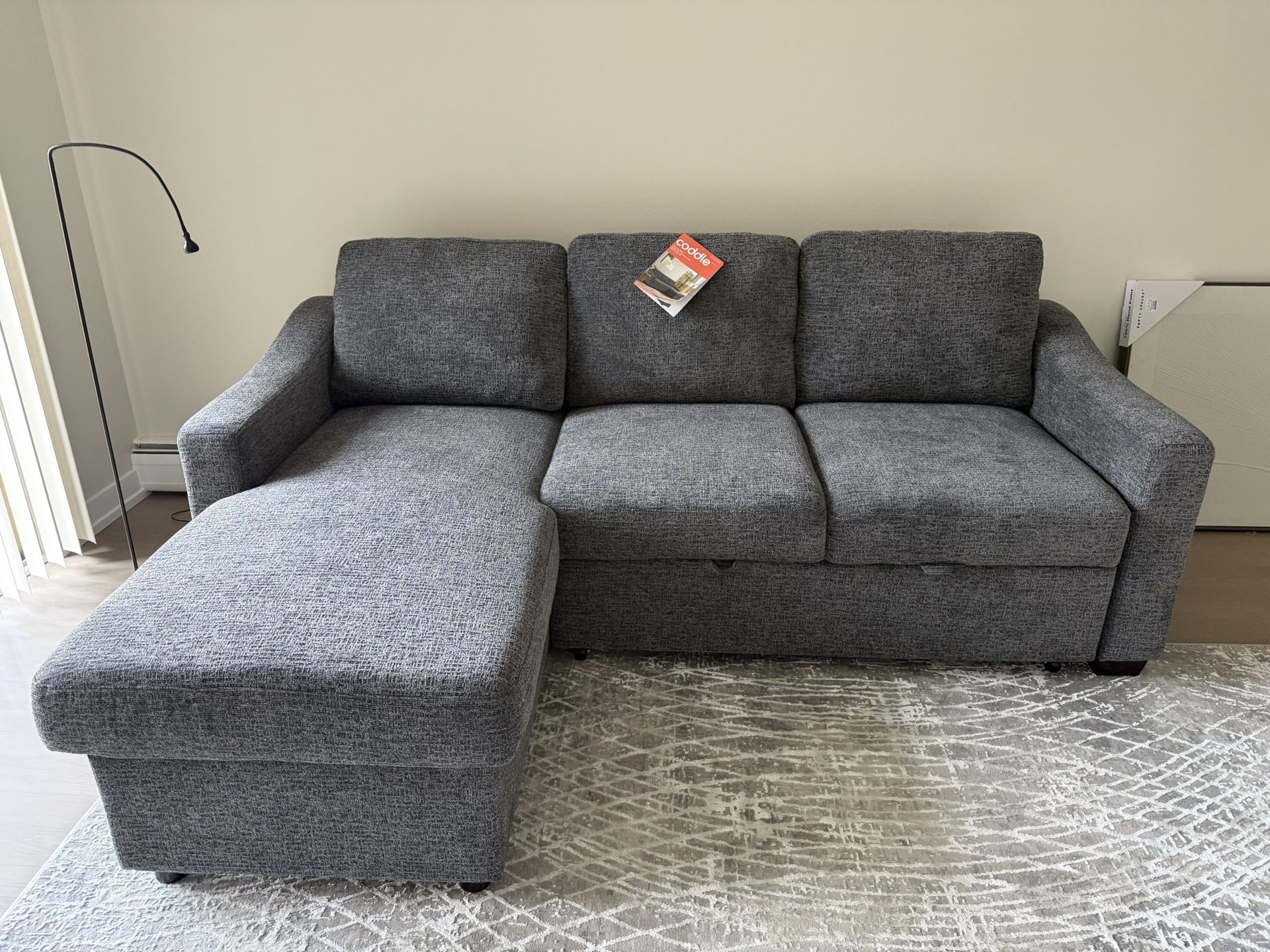 New Sleeper Sofa For Sale!