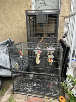 Bird Cages (big And Small) 