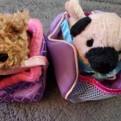 Pet  Cat  & Puppy With Carrier