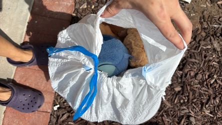 Free kids toys/books/stuffys