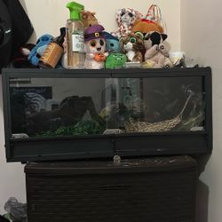 20 gallon reptile terrarium 