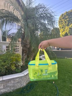 Trader Joe’s mini green insulated tote
