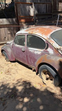 Superbettle 1973