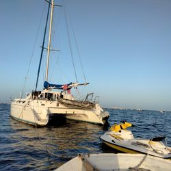 Catamaran,Sailboat,Power Catamaran,