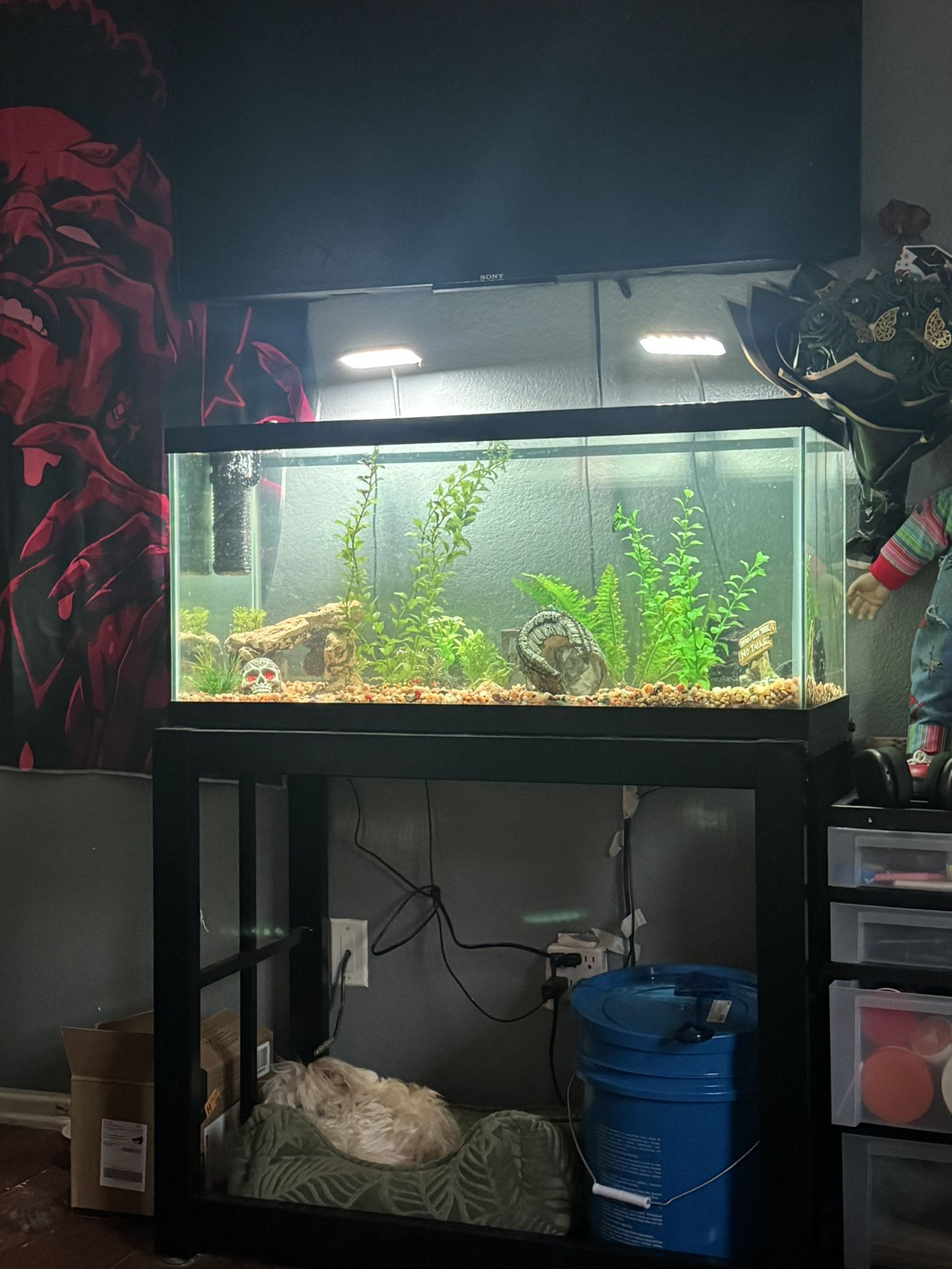 40 Gallon Aquarium With Stand
