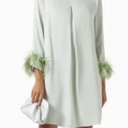 SLEEPER Party Shirt Dress with Detachable Feathers in Mint NWOT