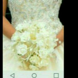 Quinceanera DRESS or BRIDE