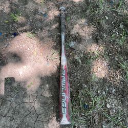 Bat