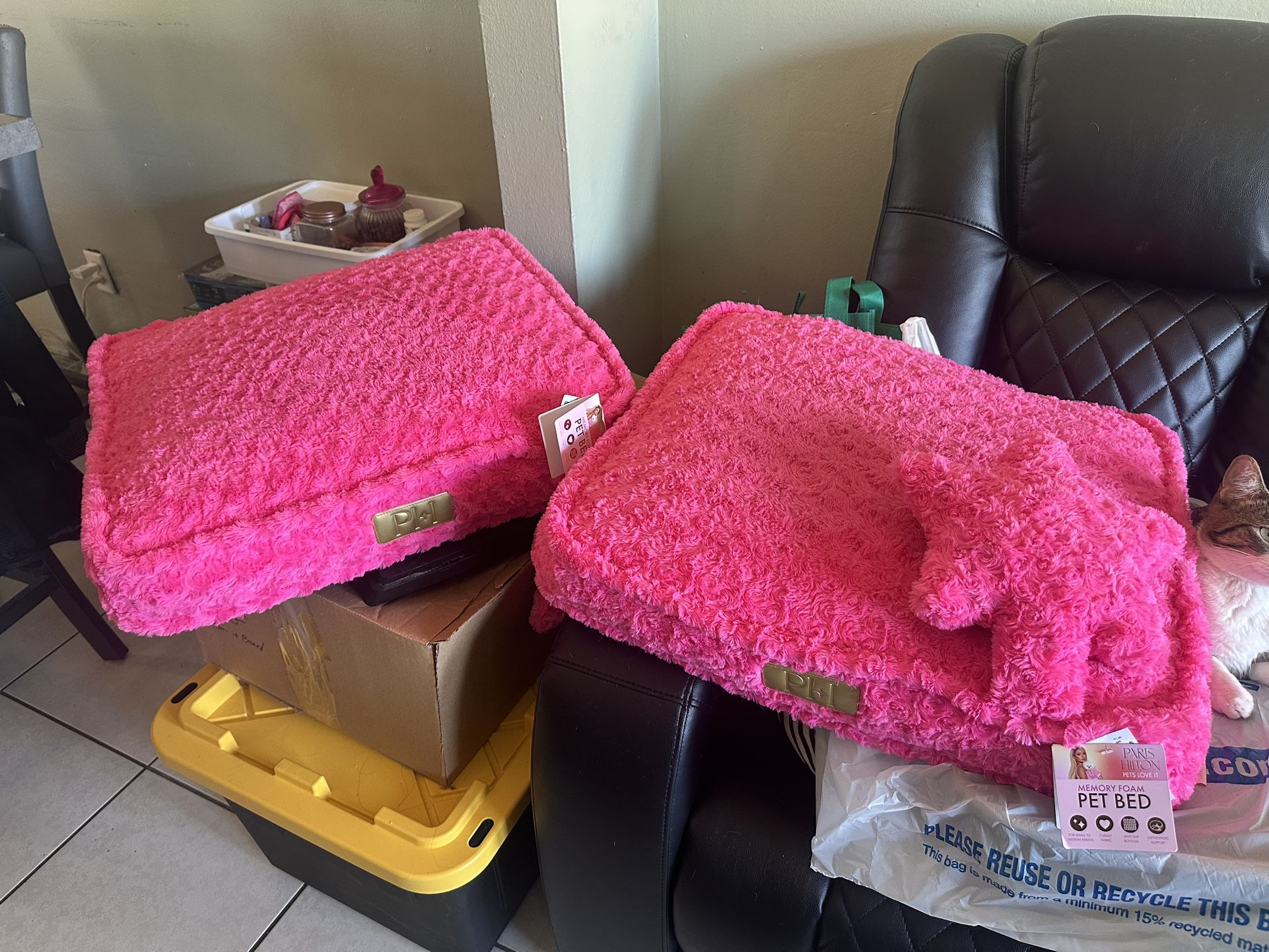 Dog Beds