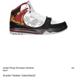 Brand New Jordan Phase 23 — Rare Color