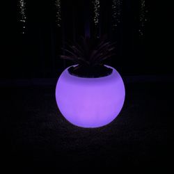 Led Circular Flower Pot (Medium)