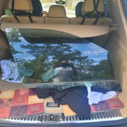 2015 Porsche Cayenne Passenger Window