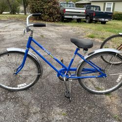 Easy Ride Bike