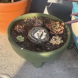 Garden Pots