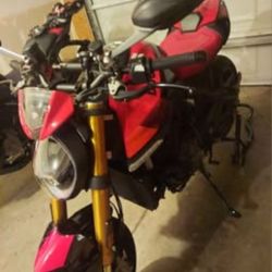 2024 Ducati Monster SP