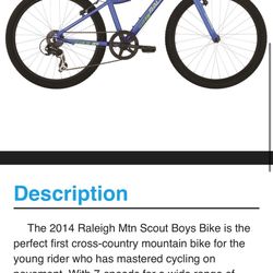 Raleigh Mtn Scout Bike