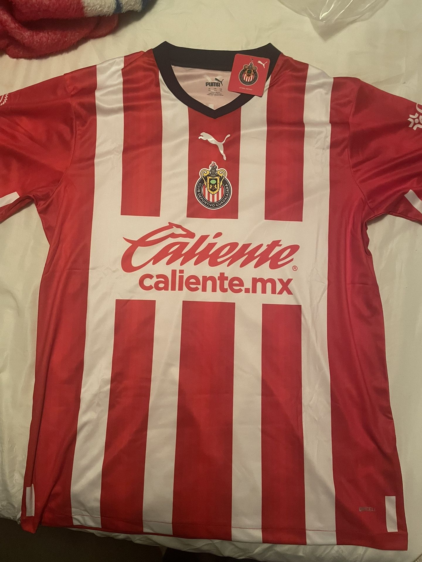 Chivas De Guadalajara Home Jersey 22/23