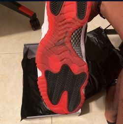 Concord breds