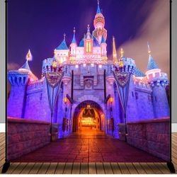 Disneyland Party Decorations 