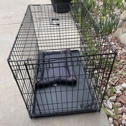 Midwest IGrate Single Door Folding Dog Grate 