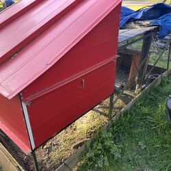 Chicken Coop
