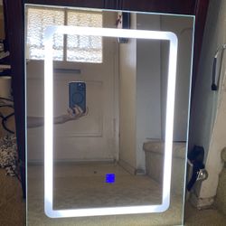 Light  Mirror 15”x21” 