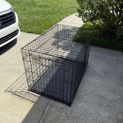 Medium Puppy Kennel