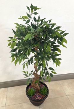 *** JUST REDUCED *** 54" Faux Ficus Tree Topped with BOHO Rainbow Stone / Succulents in a 12" Planter @ Lasting Creations